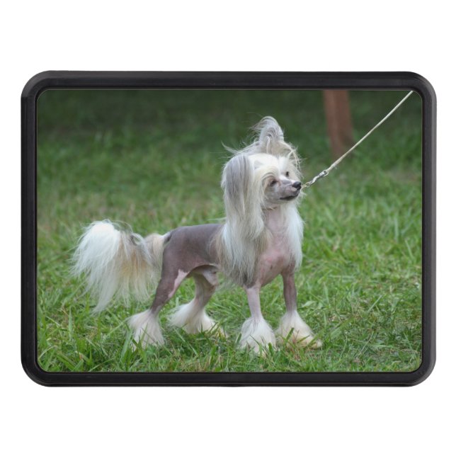 Chinese Crested Dog Trailer Hitch Cover (Front)