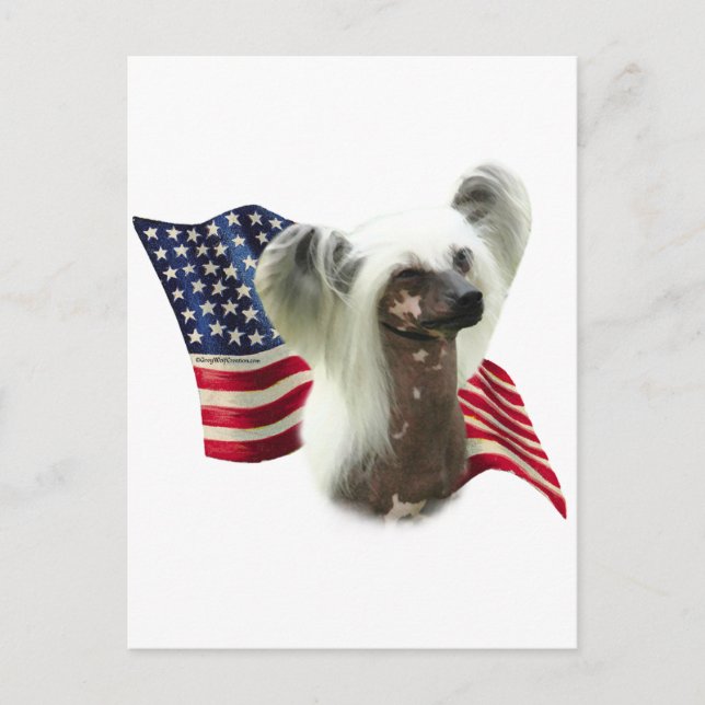 Chinese Crested Flag Postcard (Front)