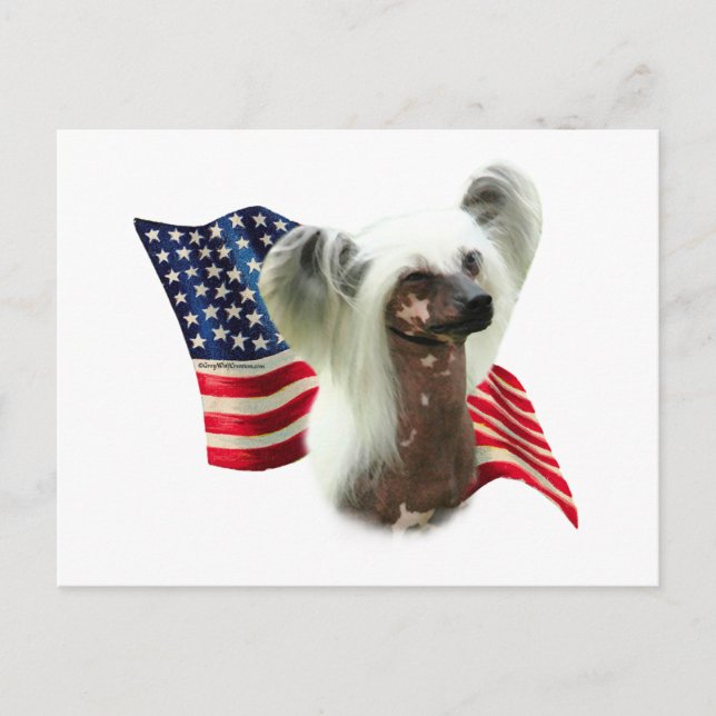 Chinese Crested Flag Postcard (Front)