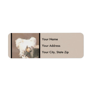 Chinese Crested Hairless Painting Original Dog Art