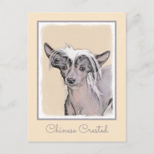 Chinese Crested Hairless Painting Original Dog Art Postcard