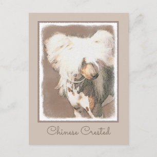 Chinese Crested Hairless Painting Original Dog Art Postcard