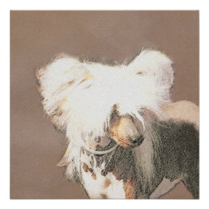 Chinese Crested Hairless Painting Original Dog Art Poster