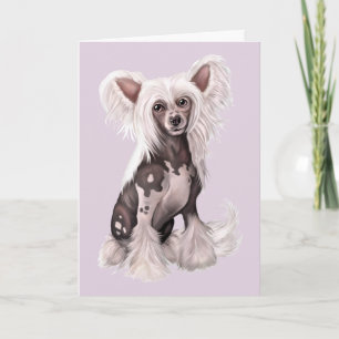 Chinese Crested Hairless Sit Card