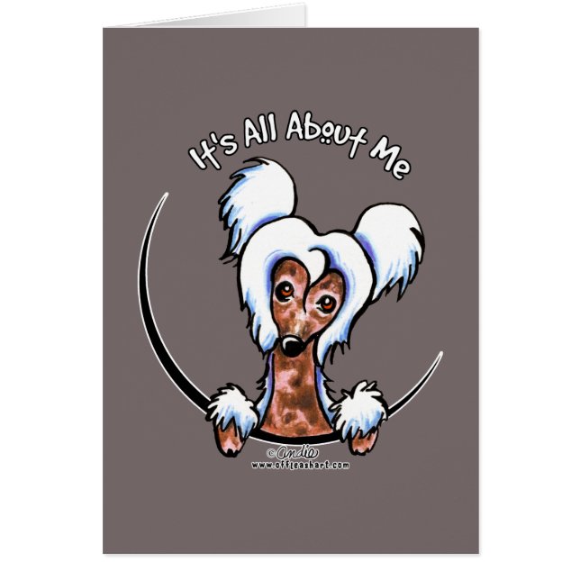 Chinese Crested IAAM (Front)