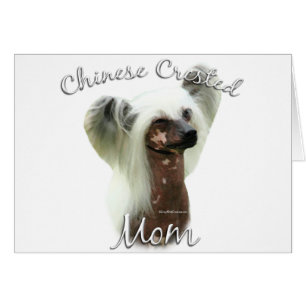 Chinese Crested Maman 2