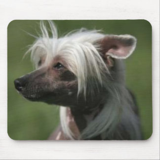 Chinese Crested Mousepad
