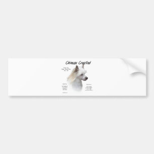 Chinese Crested (powderpuff) History Design Bumper Sticker