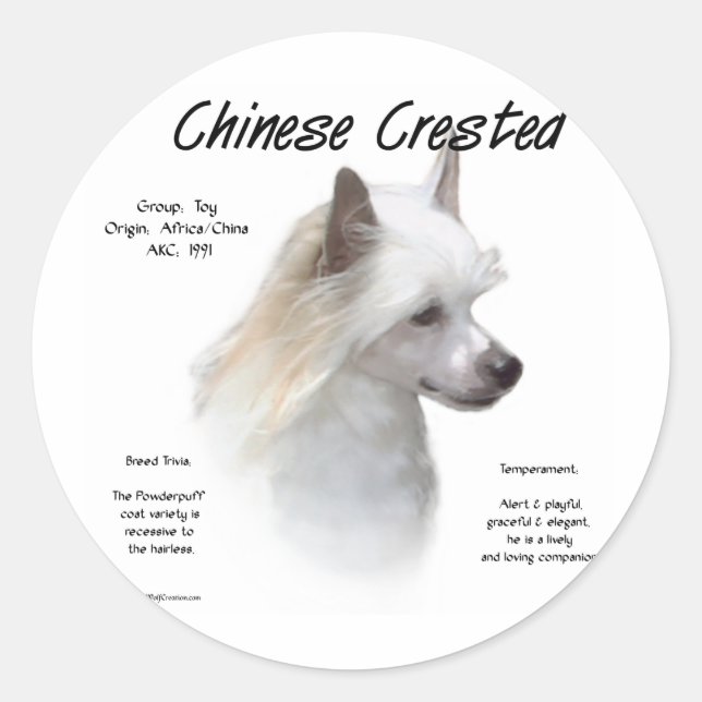 Chinese Crested (powderpuff) History Design Classic Round Sticker (Front)