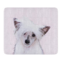 Chinese Crested Powderpuff Painting - Dog Art