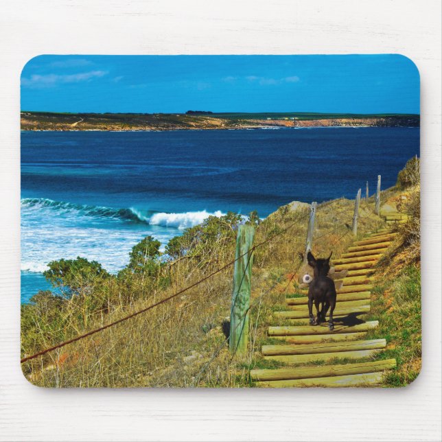 Chinese Crested Puppy Dog Steal Teddy, Mousepad (Front)