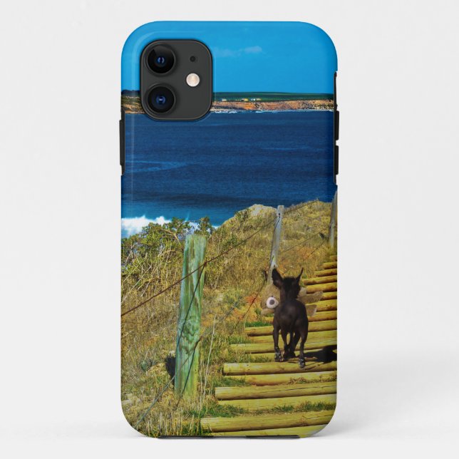 Chinese Crested Puppy Steal Teddy iPhone Five Case (Back)