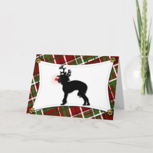 Chinese Crested Reindeer Christmas Card