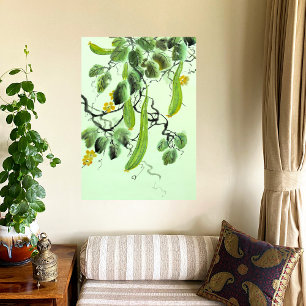 Chinese Cucumber Canvas Print