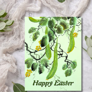 Chinese Cucumber Postcard