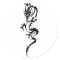 Chinese Dragon (1)