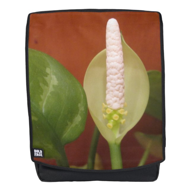 Chinese Evergreen Flower Backpack (Front)