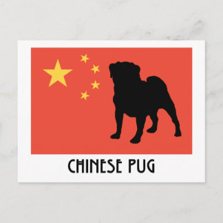 Chinese Flag with Pug Postcard