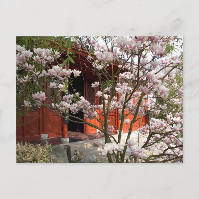chinese garden postcard (Front)