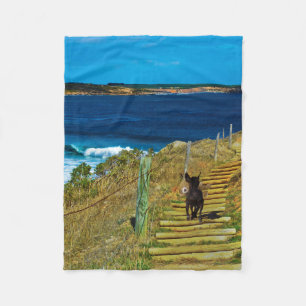 Chinese Hairless Dog Steals Teddy S Fleece Blanket