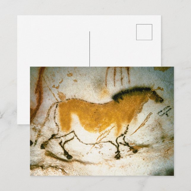 Chinese Horse,Lascaux Prehistoric Cave Paintings Postcard (Front/Back)