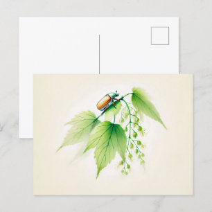 Chinese Ink May Bug on Linden Postcard