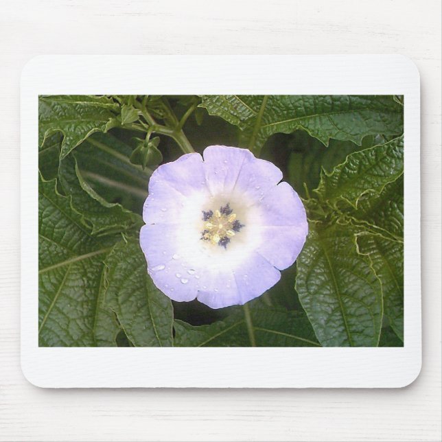 Chinese Lantern Mouse Pad (Front)