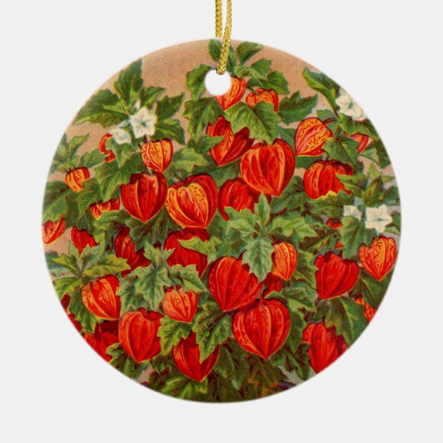 Chinese Lantern Plant Ceramic Ornament (Front)