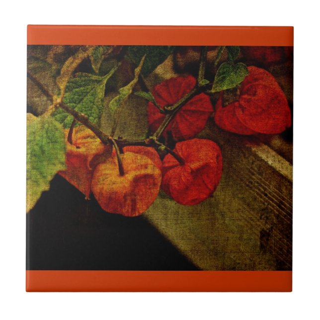 Chinese Lantern Plant With Fruit Tile (Front)
