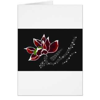 Chinese Lotus Colours