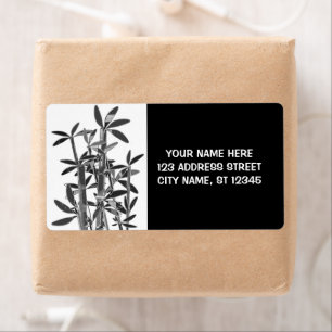 Chinese Lucky Bamboo Plants. personalized