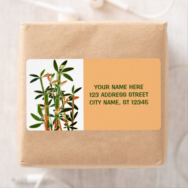 Chinese Lucky Bamboo Plants. personalized (Insitu)