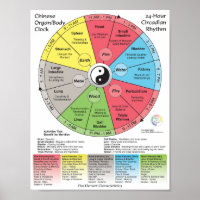 Chinese Medicine Meridian Body Clock