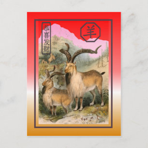 Chinese New Year-2015-year of the Sheep/Goat Holiday Postcard