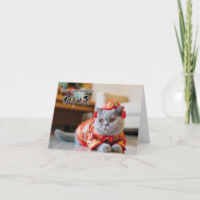 Chinese New Year British Shorthair Card (Front)