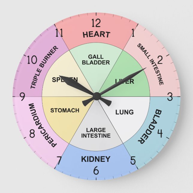 Chinese Organ Clock - TCM Body Clock (Front)