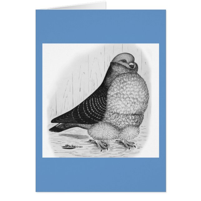 Chinese Owl Pigeon Ink Drawing (Front)