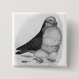 Chinese Owl Pigeon Ink Drawing 2 Inch Square Button