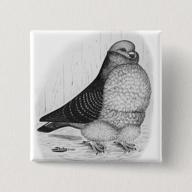 Chinese Owl Pigeon Ink Drawing 2 Inch Square Button (Front)
