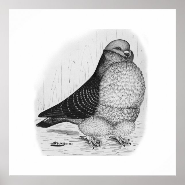 Chinese Owl Pigeon Ink Drawing Poster (Front)