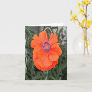 Chinese Poppy... Card