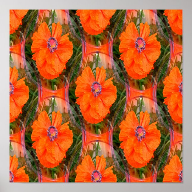 Chinese poppy field... poster (Front)