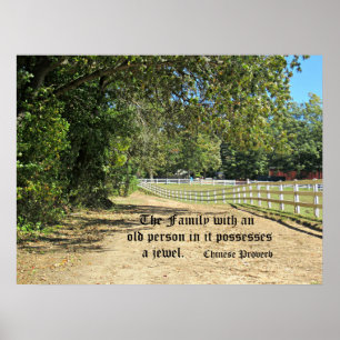Chinese Proverb about the value of the elderly. Poster