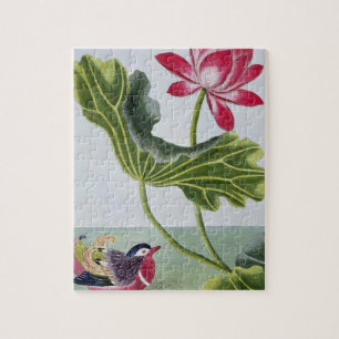 Chinese Red Water Lily, Volume I, plate 82, from ' Jigsaw Puzzle