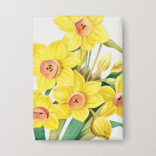 Chinese Sacred Lily, Pierre-Joseph Redouté, 