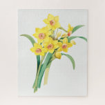Chinese Sacred Lily, Pierre-Joseph Redouté,  Jigsaw Puzzle<br><div class="desc">Pierre-Joseph Redouté,  1805
... ..Narcissus tazetta,  paperwhite,  french,  flowers,  floral,  botanical print,  vintage,  retro,  bright,  bold,  vivid,  vibrant,  nature,  natural,  formal,  sophisticated,  minimalist,  minimalism,  orange,  yellow,  green,  delicate,  elegant,  sophisticated,  stately,  chic,  drawing,  cottagecore</div>