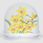 Chinese Sacred Lily, Pierre-Joseph Redouté,  Snowglobe<br><div class="desc">Pierre-Joseph Redouté,  1805
... ..Narcissus tazetta,  paperwhite,  french,  flowers,  floral,  botanical print,  vintage,  retro,  bright,  bold,  vivid,  vibrant,  nature,  natural,  formal,  sophisticated,  minimalist,  minimalism,  orange,  yellow,  green,  delicate,  elegant,  sophisticated,  stately,  chic,  drawing,  cottagecore</div>