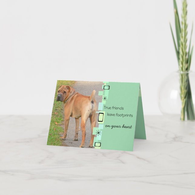 Chinese Shar Pei Birthday Greeting Card (Front)