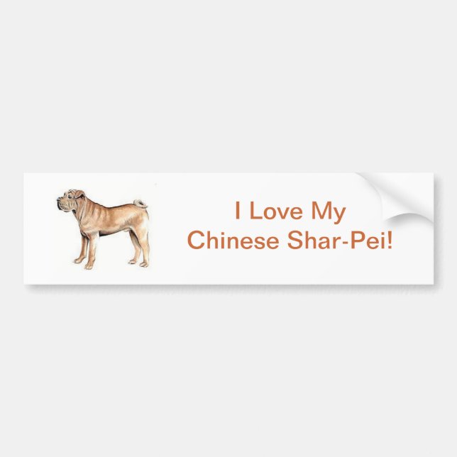 Chinese Shar-Pei Bumper Sticker (Front)