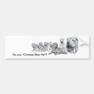 Chinese  Shar Pei Bumper Sticker
